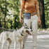Dog Training Treat Pouch for Doggie Puppy Treat Snack Bags Reward Pouch Bait Bag Dog Treat Carrier Holder with Clip Waist Belt...