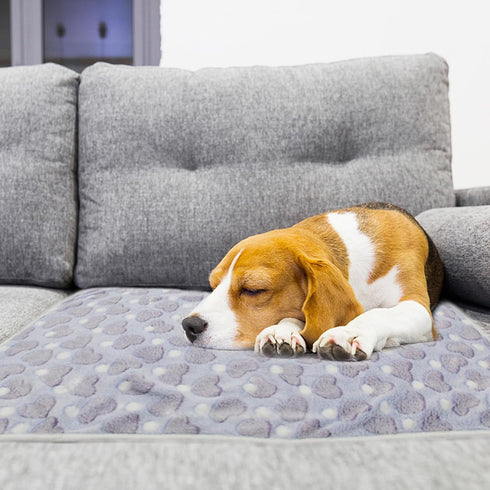 1 Pack 3 Puppy Blankets Super Soft Warm Sleep Mat Love Print Blanket Fluffy Fleece Pet Blanket Flannel Throw Dog Blankets for Small Dogs Puppy Dog...