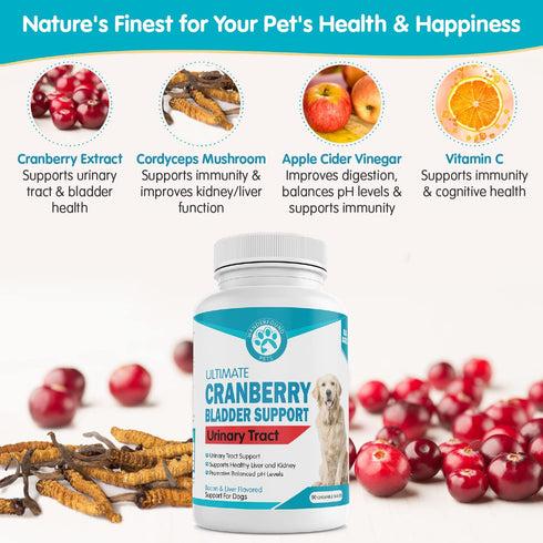 Wanderfound Pets Ultimate Cranberry Bladder UTI Support Supplement for Dogs - Dog Urinary Tract Infection Incontinence Formula with Cordyceps Mush...