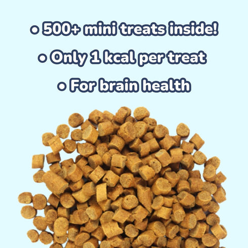 healthybud Mini Dog Training Treats - Beef Liver Soft Trainer Bites, 500+ Bits, 1 kCal per Bite, 6.5oz, Reishi, Lion’s Mane, Salmon Oil, Puppy Che...