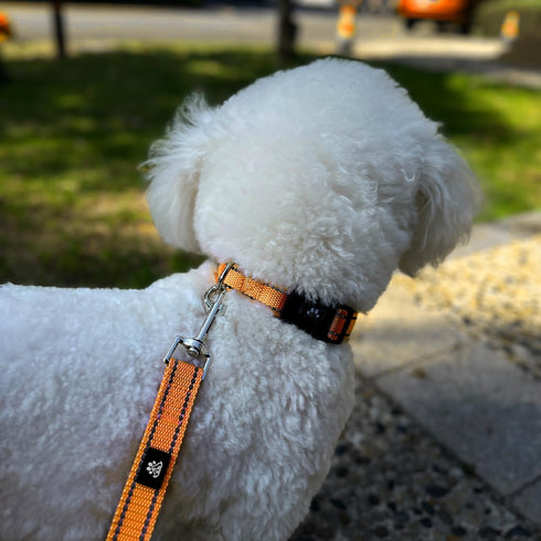 FURRYFECTION Reflective Dog Collar and Leash Set with Quick Release Buckle, Padded with Neoprene Adjustable Nylon Dog Collar for Small Medium and ...