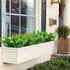 Leyaron 9 Bundles Fake Plants Artificial Boxwood Greenery 63 Stems Fade Resistant Faux Plastic Plants for Garden Farmhouse Porch Patio Window Box ...