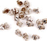 RUBYCA Skull Head Rapid Rivets and Studs, Metal Double Cap Compression Rivets, Speedy Rivets for Fabric Leather Craft Crafting, Silver Color (100 ...