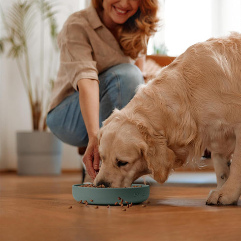 Coomazy Silicone Slow Feeder Dog Cat Bowls, Interactive Puzzle Toy for Pets Food Training, Keeps Dogs Cats Busy, Prevents Puppy Kitty Overeating (...