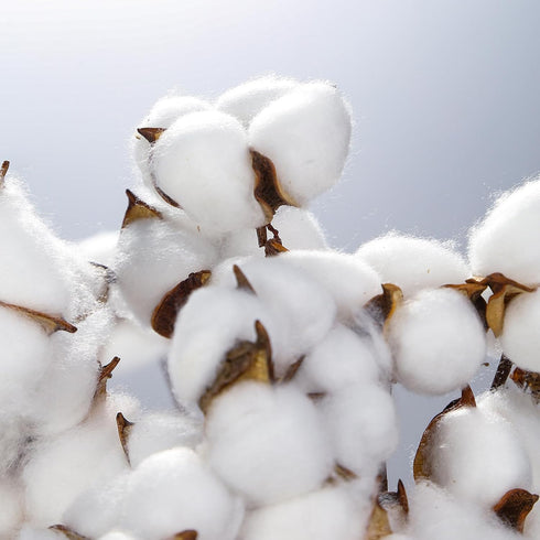 DomeStar 13 Bundles of Cotton Stems, 16.5" Natural Dried Cotton Stalks with Bolls Cotton Blooms Floral Stems for Vase Fillers...