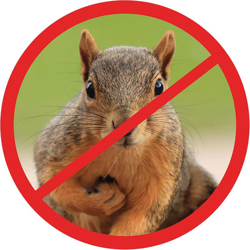 Just Play Scram, Squirrel by Slinky, Squirrel-Proof Bird Feeder Accessory that Guards Bird Seed, Kids Toys for Ages 5 Up by Just Play...