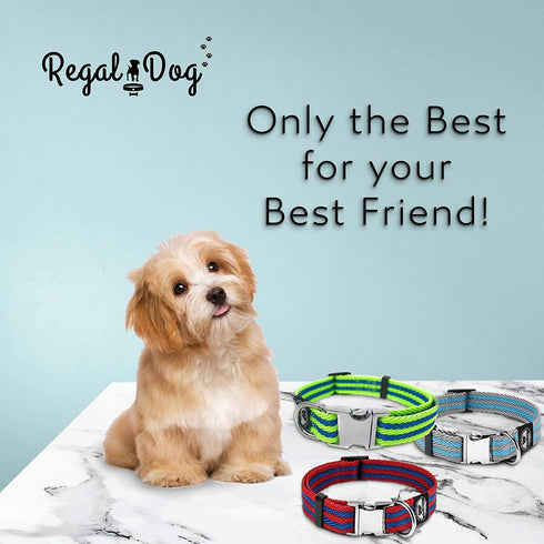 Regal Dog Products Large Pet Collar with Custom Engraved Buckle | Durable Twill Dog Collars for Small Dogs | Dog Collars for Medium Dogs | Dog Col...