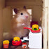 30 Pcs Miniature Food Drinks Laptop Computer Books Toys Dollhouse Miniature Furniture Plastic Table Fits Accessories Scale Dollhouse Playsets Girl...