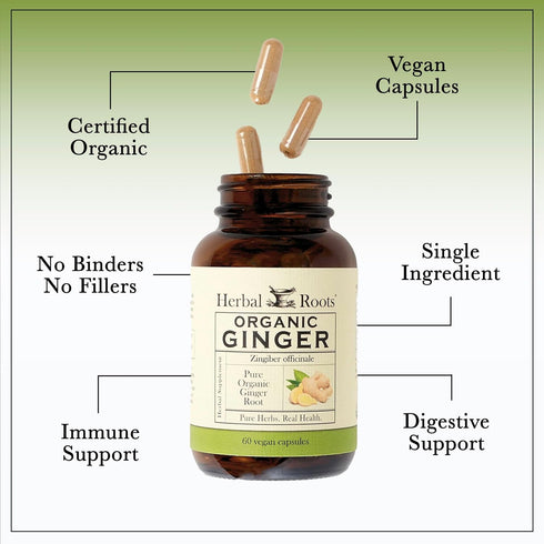 Herbal Roots Ginger Supplement | Organic Ginger Root Capsules | 1,200 mg of Pure Ginger Powder per Serving | 60 Vegan Capsules...