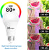 Noger 3-Way Led Light Bulbs A21 ?4 Pack?, 50 100 150W Equivalent, 5000K Daylight, 3 Way E26 Light Bulbs for Reading, 500-1600-2200LM...