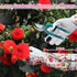 Gardening Gloves for Women, Rose Gloves Gardening Thorn Proof, Long Garden Gloves for Women, Breathable Cowhide Leather Gauntlet (Large, White)...
