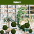 BYHER Natural Green Moss Decorative Ball,Handmade (3.5"-Set of 6)...