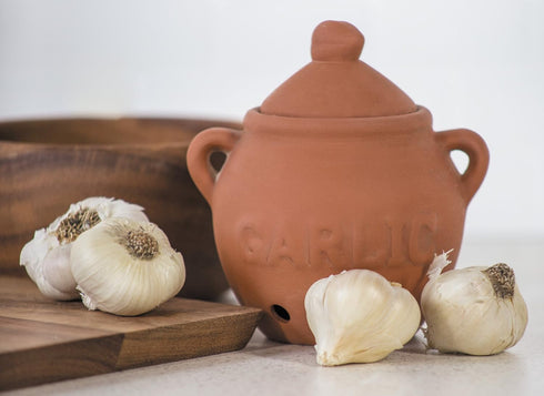 Fox Run Garlic Keeper, Terra Cotta, Red, 4.25 x 5.25 x 5.25 inches...