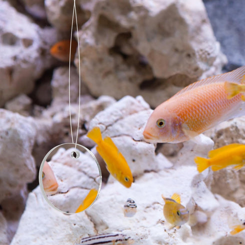 POPETPOP Betta Exercise Mirror 1 Set Double Sided Circle Betta Mirror with Floating Ball for Aquarium Fish Tank 5CM...