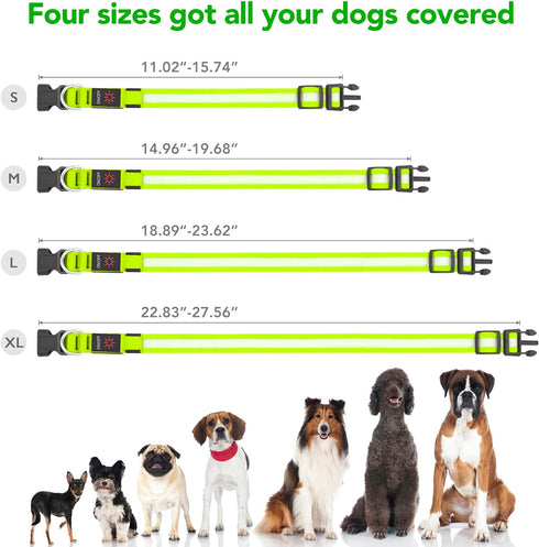 LED Dog Collar, Light Up Dog Collar Adjustable USB Rechargeable Super Bright Safety Light Glowing Collars for Dogs(Medium,Green)...