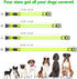 LED Dog Collar, Light Up Dog Collar Adjustable USB Rechargeable Super Bright Safety Light Glowing Collars for Dogs(Medium,Green)...