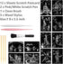 Magic Scratch Art Paper(7.9"x5.5") Rainbow Landscape Engraving Art Mini Scratchboard DIY Pads for Adults and Kids, Crafts Set: 12 Sheets Scratch P...