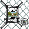 Fence Mount for iPhone, GoPro, Mevo Start, Phones, Digital Action Camera to a Chain Link Fence for Softball, Recording Baseball, Tennis, Baseball ...