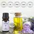 Essential Oils Set- Essential Oils for Diffuser for Home,Diffuser Oils Scents for Aromatherapy,Laundry,Candle&Soap Making,Humidifiers 6 X 10 ML...