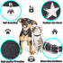 Dog Collar with Star Studs and Bell, Dog Necklace for Puppy Small Medium Large Dog Cat Collar Pet Collar Boy Girls Dog (M: 11-14 in, Black)...