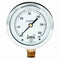 Winters 2-1/2" Dial Size, Liquid Filled Industrial Pressure Gauge, Brass Internals, 304 Stainless Steel Case, Single Scale 0-300 psi, 1.5% Acc, 1/...