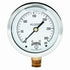 Winters 2-1/2" Dial Size, Liquid Filled Industrial Pressure Gauge, Brass Internals, 304 Stainless Steel Case, Single Scale 0-300 psi, 1.5% Acc, 1/...