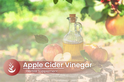 Pure Original Ingredients Apple Cider Vinegar, (100 Capsules) Always Pure, No Additives Or Fillers, Lab Verified...