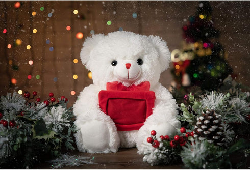 HollyHOME Teddy Bear Stuffed Animal Plush Bear with Red Bow Holding a Picture frame Soft Plush Toy Christmas Valentine's Day Gift 12 Inches White...