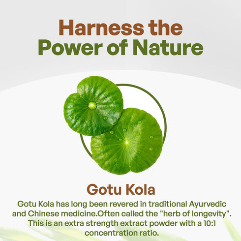 Gotu Kola 10:1 Extract Powder (8 oz), Centella Asiatica | Gluten Free and Non-GMO | Ayurvedic Herbal Supplement...