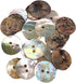 Natural Mother-of-Pearl Shell Buttons - AKOYA - 7 Sizes - Produced in Spain (15 mm)...