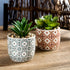 Artificial Plants Succulent Flowers in Ceramic Planter 2 Pack Small Fake Plants Potted for Home Office Desk Decor Farmhouse Living Room Bedroom Sh...