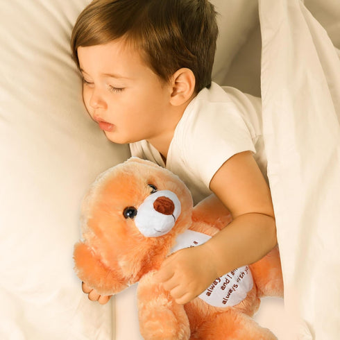 Sympathy Bears for Boys and Girls Loss of Grandpa,memorial Stuffed Animal for Loss of Grandpa Boys and Girls Sympathy Gift for Grieving Bear Plush...