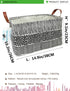 LANGYASHAN Rectangular Storage Bin Collapse Canvas Fabric Cartoon Storage Basket with Handles for Organizing Home Kitchen Boys and Girls Toys Offi...