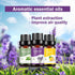 Essential Oils Natural Oils Fragrance Oil for Diffuser Humidifier Home Candle Making Replenish Set-6 Pack,Lavender, Lemon, Peppermint, Sweet Orang...