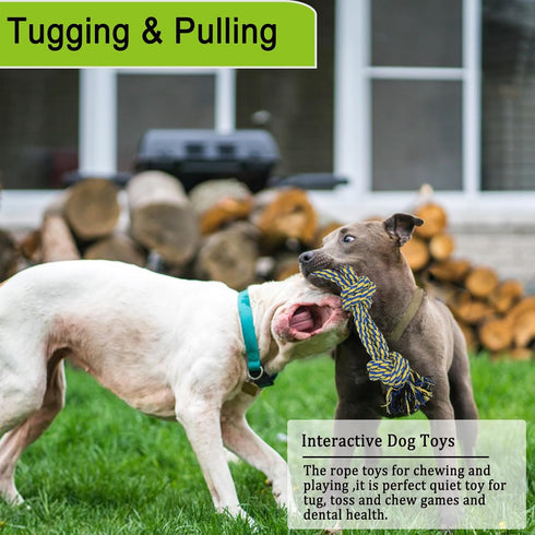 Dog Bungee Tug Toy, Dog Toy Hanging from Tree, Durable Interactive Dog Rope Toy with Chew Lure Toys, Outdoor Tether Tug of War for Small Medium La...