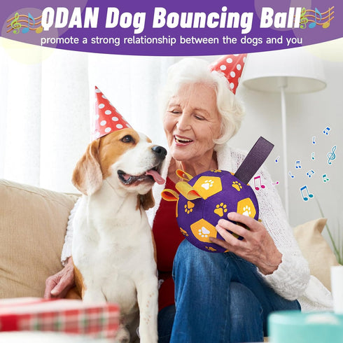 Interactive Dog Toys Soccer Ball - Bouncing Ball for Dogs, Jumping Dog Balls with Recording and Music Modes, Dog Birthday Toy, Rechargeable Moving...