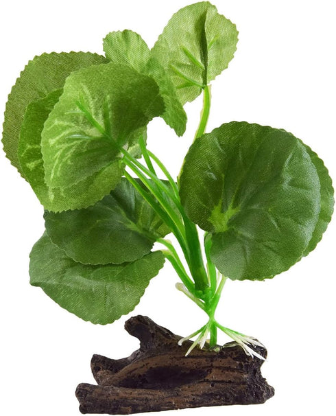 Underwater Treasures Silk Hydrocotyle...