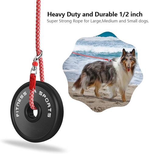 Dog Training Leash for Small to Medium Dogs, Rope Dog Leash, Chew Proof and Reflective Dog Lead...