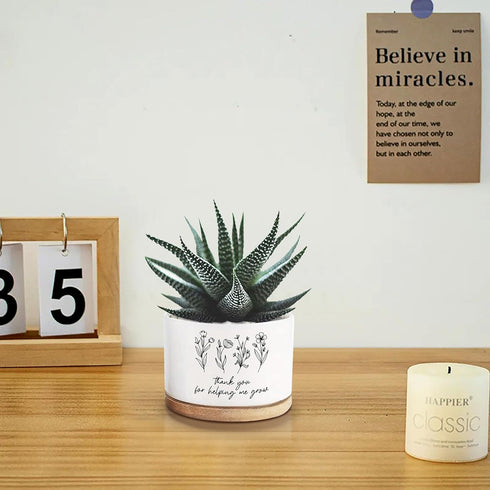 Thank You for Helping Me Grow Ceramic Succulent Funny Planter Pots for Plant Lovers Teacher Birthday Christmas Thanksgiving Gift, 3.6 Inch (Plant ...