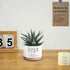 Thank You for Helping Me Grow Ceramic Succulent Funny Planter Pots for Plant Lovers Teacher Birthday Christmas Thanksgiving Gift, 3.6 Inch (Plant ...