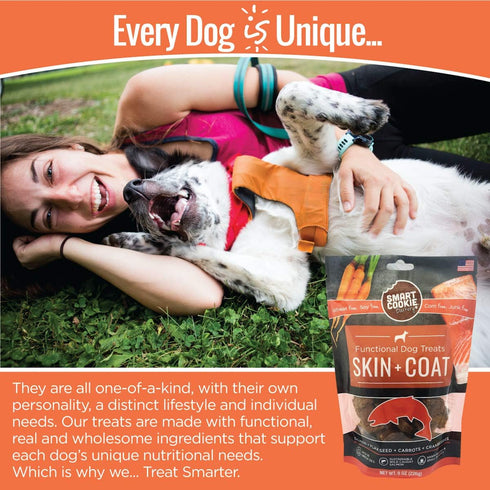 All Natural Dog Treats - Healthy Skin & Coat Salmon Dog Treats - Ideal for Sensitive Stomachs or Itchy, Allergic, Dry Skin - Dehydrated, Crunchy, ...