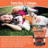 All Natural Dog Treats - Healthy Skin & Coat Salmon Dog Treats - Ideal for Sensitive Stomachs or Itchy, Allergic, Dry Skin - Dehydrated, Crunchy, ...