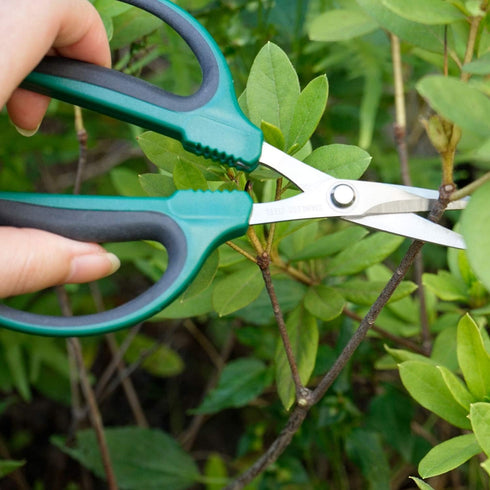 Bonsai Shears with 40mm Durable Stainless Steel Blades, Precise Trimming and Pruning, Garden Scissors Ideal in Flowers and Bonsai Trees...