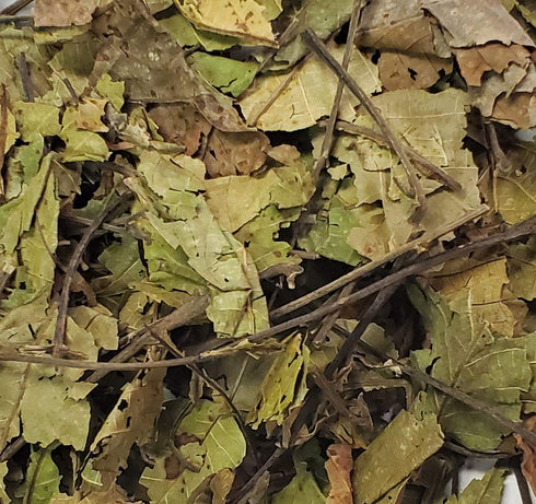 Black Walnut Leaves 4 Ounces-Bulk Bag-1/4 Pound-Juglans nigra-Mexican...