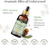 Avatra Cedarwood Essential Oil for Hair, Skin & Aromatherapy | Natural Oil for Diffuser, Soap & Candle Making | Premium Grade with Glass Dropper |...