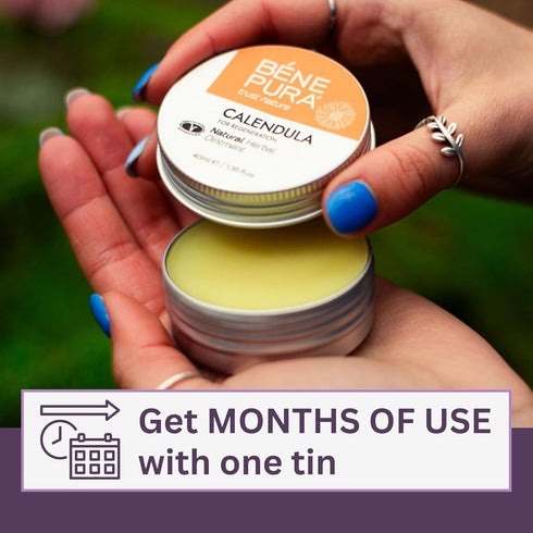 BenePura Calendula Ointment - Natural Calendula Cream for Burns, Cuts, Scrapes and Wounds - Calendula Salve for Dry Skin - Burn Cream, Burn Ointme...