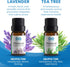 Everlasting Comfort Pure Essential Oils Set - Natural Aromatherapy Essential Oils for Diffuser, Humidifier, Home, Skin - Lavender, Geranium, Vanil...