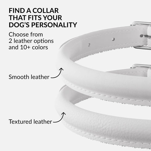 CollarDirect Rolled Leather Dog Collar, Soft Padded Round Puppy Collar, Handmade Genuine Leather Collar Dog Small Large Cat Collars 13 Colors (18-...