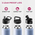 FineDine Triple Walled, Insulated Water Bottles with Straw - 25 Oz Stainless Steel Metal Bottle W/ 3 Leak Proof Lids - For Travel, School, Sports,...