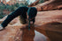 LifeStraw Personal Water Filter for Hiking, Camping, Travel, and Emergency Preparedness...